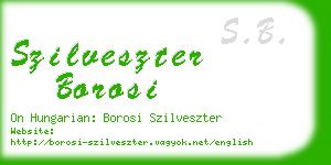 szilveszter borosi business card